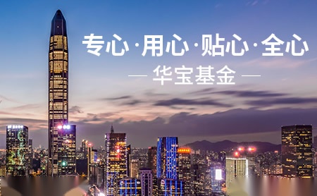 两绿色主题基金重仓迥异，华宝基金夏林锋似迷失自我 独家 第1张