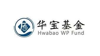 成长蓝筹新典范！百大行业龙头一指尽揽，华宝中证100ETF淬火而生 要闻 第1张
