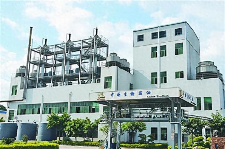 生物柴油推广应用试点落地 龙头卓越新能迎新增长极 要闻 第1张-壹财信