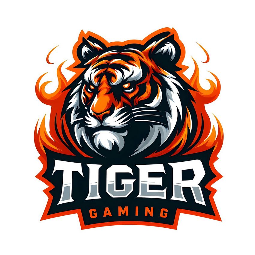 Guide complet des jeux Live et RNG pour les tournois d’été chez Champigny94